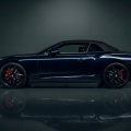 Gallery item